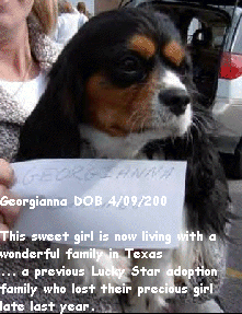 Georgianna DOB 4/09/200

This sweet girl is now living with a
wonderful family in Texas
... a previous Lucky Star adoption
family who lost their precious girl
late last year.